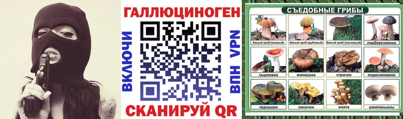 ссылка на мегу ONION  Новошахтинск  Галлюциногенные грибы мухоморы 